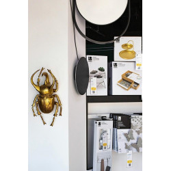 60489 KARE dekoracja ścienna ATLAS BEETLE złota King Home