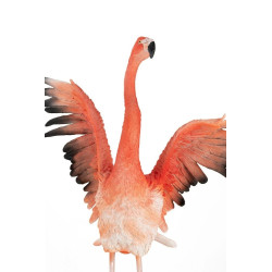 63948 KARE dekoracja stojąca FLAMINGO ROAD FLY King Home