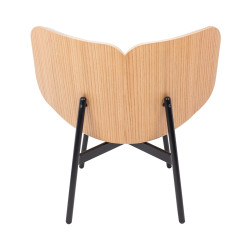 DC-201 Fotel BENJAMIN King Home