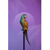 61630 KARE dekoracja stojąca PARROT 116 cm złota King Home