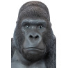 39378 KARE dekoracja stojąca GORILLA XL 76cm czarna King Home