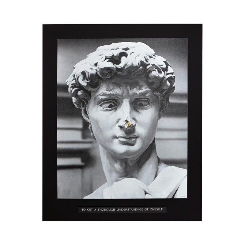 52976 KARE obraz STATUE 100x125 cm King Home