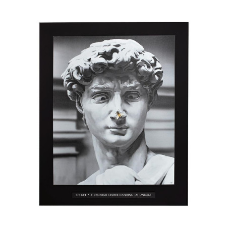 52976 KARE obraz STATUE 100x125 cm King Home