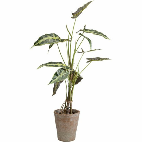 55921 KARE roślina dekoracyjna ALOCASIA 80 cm King Home