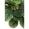 60723 KARE roślina dekoracyjna FIDDLE LEAF 120 cm King Home