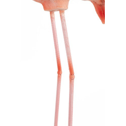 63946 KARE dekoracja stojąca FLAMINGO ROAD King Home