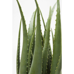 60724 KARE roślina dekoracyjna ALOE 69 cm King Home