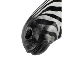 54761 KARE dekoracja ścienna ZEBRA King Home