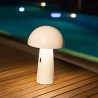 LUMSTK025BXWLNW NEW GARDEN lampa biurkowa SHITAKE BLANCO King Home