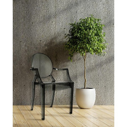 124-APC.DYMIONY Krzesło LOUIS dymione - poliwęglan King Home