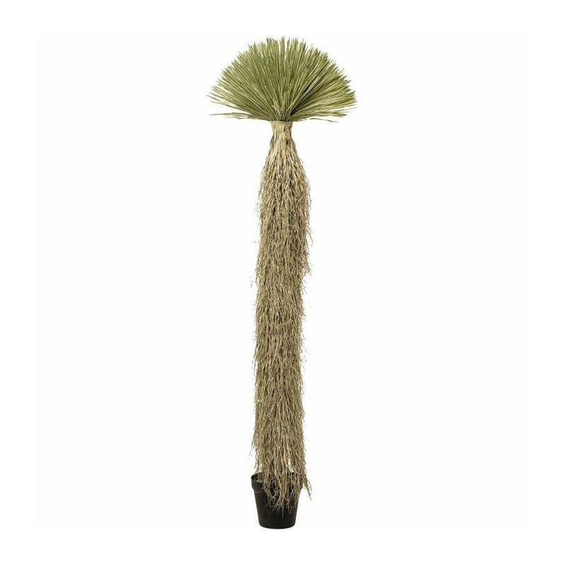 55920KARE roślina dekoracyjna YUCCA ROSTRATA   240 cm King Home