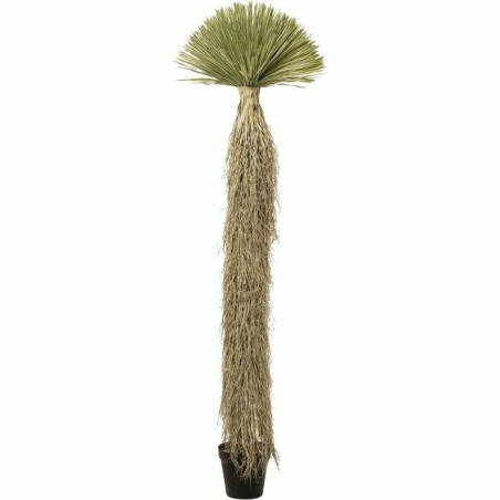 55920KARE roślina dekoracyjna YUCCA ROSTRATA   240 cm King Home