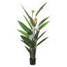 51684KARE roślina dekoracyjna PARADISE         FLOWERS 190 cm King Home