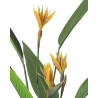 51684KARE roślina dekoracyjna PARADISE         FLOWERS 190 cm King Home