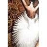 KH1501100269Obraz BALLERINA 1 100x120 cm King Home