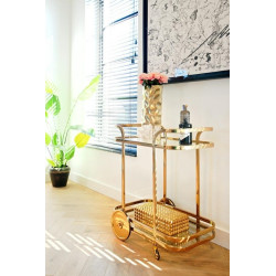 9421 RICHMOND barek X.O. złoty King Home