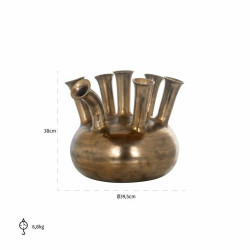 -VA-0194 RICHMOND waza YONA złota King Home